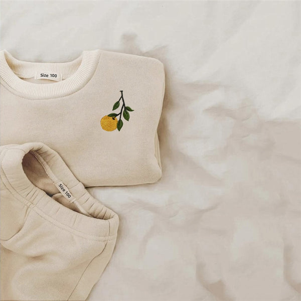 2Pcs Spring Baby Clothes Set Embroidery