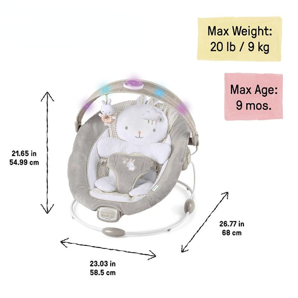 Baby Light Up Bouncer